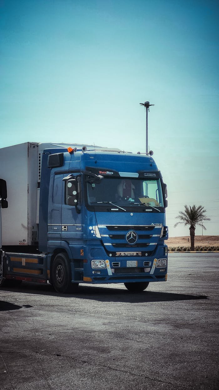 A blue freight truck parked on a sunny desert highway with a palm tree backdrop.